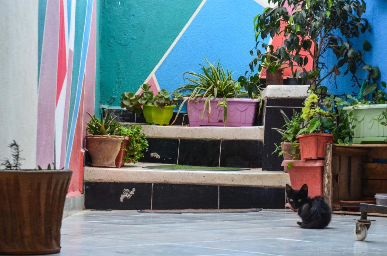 Tayought Surf Hostel Тагазут Екстериор снимка