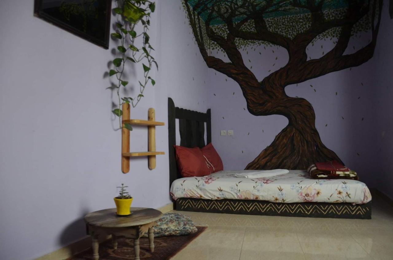 Tayought Surf Hostel Тагазут Стая снимка